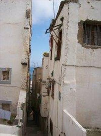 Algerien - ein Land holt auf!