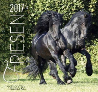 Friesen 2017