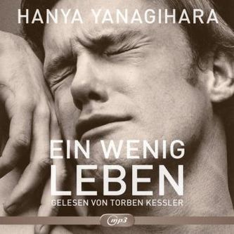 Ein wenig Leben, 4 MP3-CDs