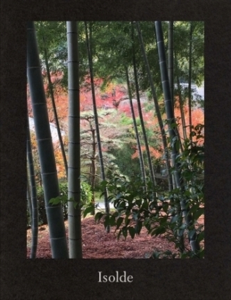 Elizabeth Peyton. Isolde