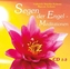 Segen der Engel - Meditationen, 3 Audio-CDs