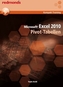 Microsoft Excel 2010 Pivot-Tabellen