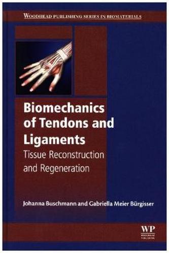 Biomechanics of Tendons and Ligaments