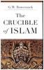 The Crucible of Islam