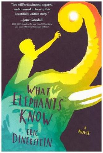 What Elephants Know