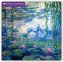 Monet's Waterlilies 2018