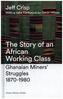 The Story of an African Working Class