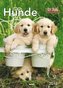 Hunde, Wochenkalender 2018