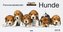 Hunde, Panoramakalender 2018