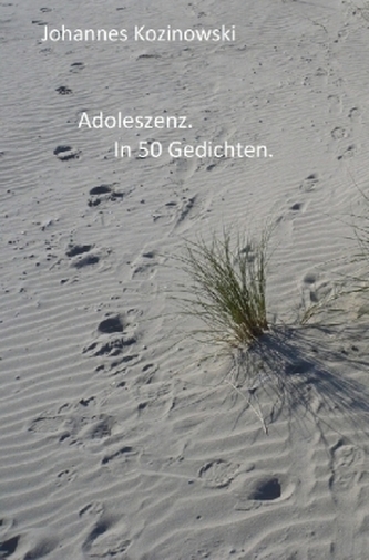 Adoleszenz. In 50 Gedichten