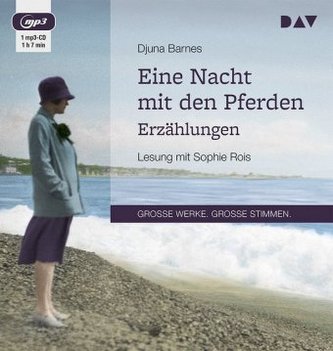 Eine Nacht mit den Pferden. Erzählungen, 1 MP3-CD