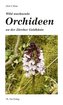 Wild wachsende Orchideen an der Zürcher Goldküste