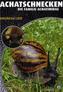 Achatschnecken
