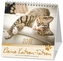 Kleine Katzen-Tatzen, Postkartenkalender 2018