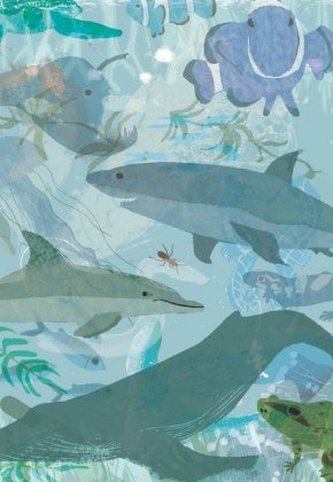 ErlebnisWelt Natur - Ozean