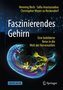Faszinierendes Gehirn