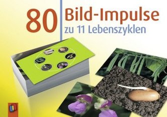80 Bild-Impulse zu 11 Lebenszyklen