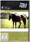 Pferd, 1 DVD