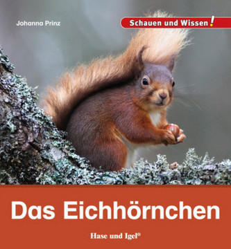 Das Eichhörnchen Das Eichhörnchen