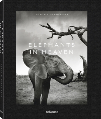 Elephants in Heaven