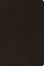ESV Bible with Creeds and Confessions