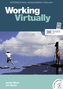 International Management English Series: Working Virtually B2-C1