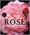 Die Rose