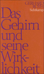 Das Gehirn und seine Wirklichkeit