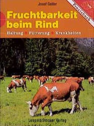 Fruchtbarkeit beim Rind