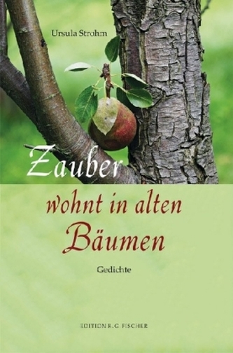 Zauber wohnt in alten Bäumen