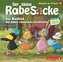 Der kleine Rabe Socke - Das Hofturnier und andere rabenstarke Geschichten, 1 Audio-CD
