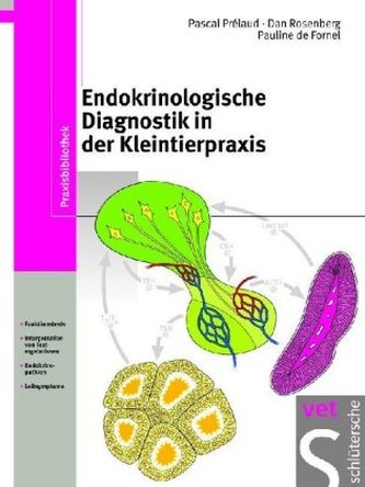 Endokrinologische Diagnostik in der Kleintierpraxis