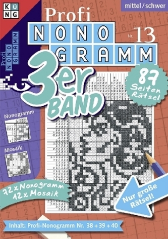 Profi-Nonogramm 3er-Band. Nr.13