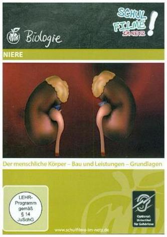 Niere, 1 DVD