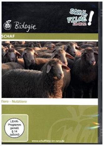 Schaf, 1 DVD