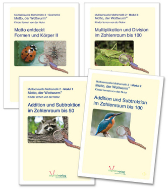 Lernstufe 2 inkl. Geometrie, 4 Arbeitshefte