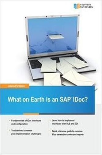 What on Earth is an SAP IDoc?