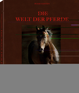 Die Welt der Pferde