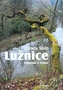 Lužnice