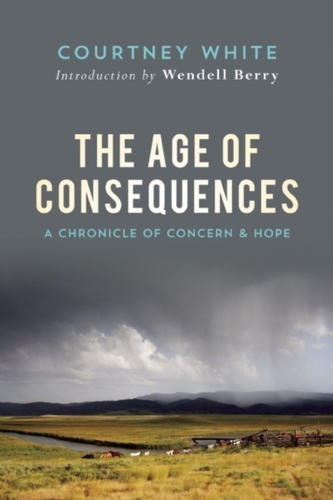 The Age of Consequences