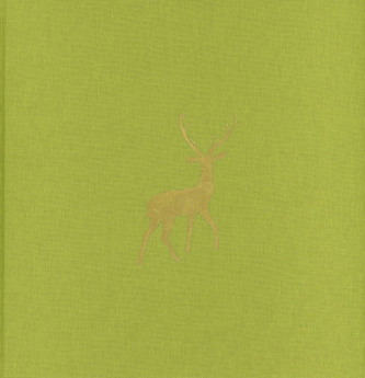 Istanbul New Stories