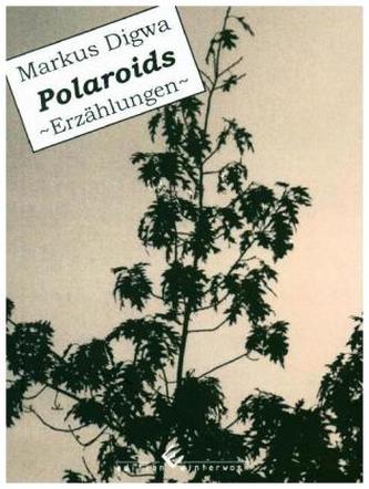 Polaroids ~Erzählungen~