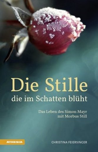 Die Stille, die im Schatten blüht