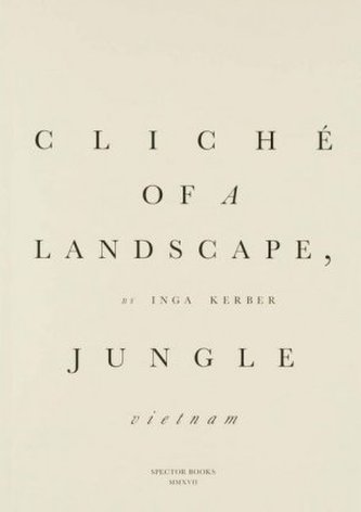 Cliché of a landscape, Jungle (Vietnam)