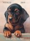The Dog in Art 2019