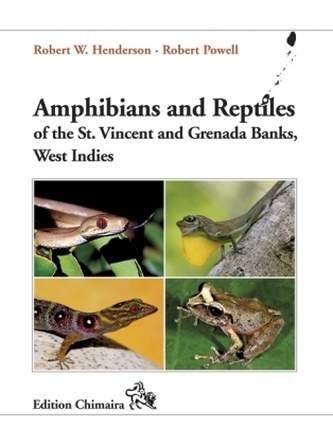 Amphibians and Reptiles of the St. Vincent and Grenada Banks, West Indies
