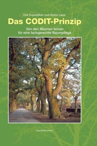 Das CODIT-Prinzip
