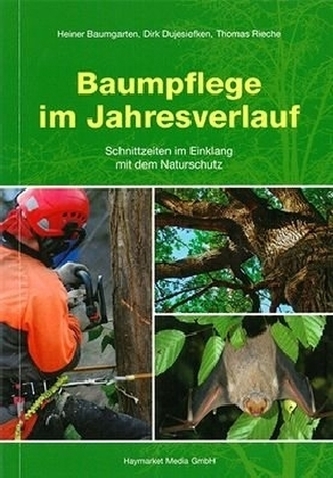 Baumpflege im Jahresverlauf