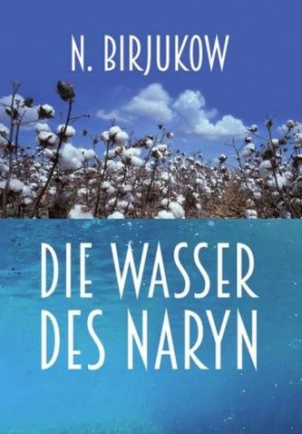 Die Wasser des Naryn