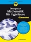 Übungsbuch Mathematik für Ingenieure für Dummies